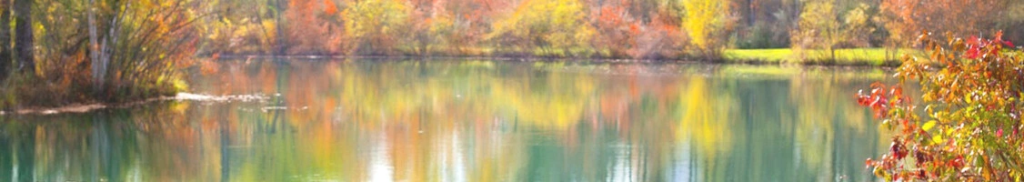 Banner GesundheitsBoxx